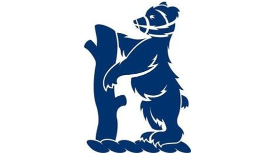 Warwickshire Country Cricket Logo