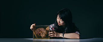 Social Sciences - About Us - Psychology Image 341x139 - Woman looking at a brain