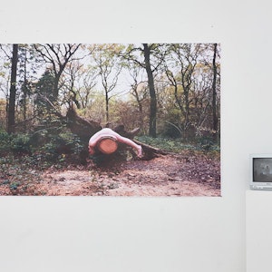 Fine Art installation: large picture on the wall of naked person lying on tree trunk in woodland