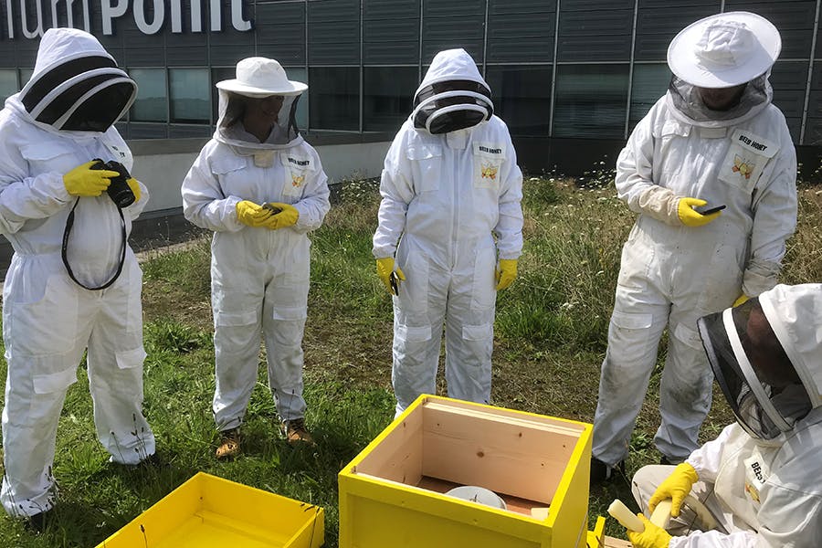 group of beekeepers on roof next to a beehive