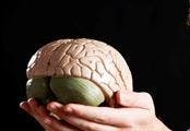 Brain thumb