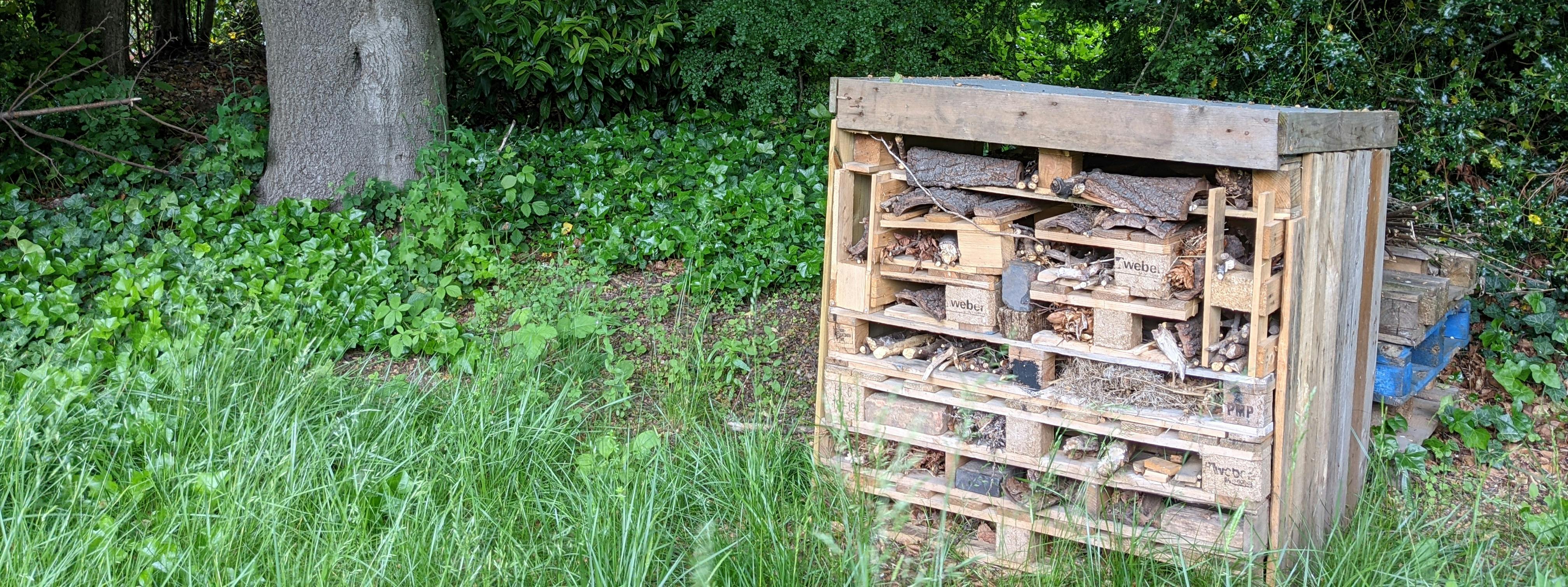 Bug hotel made from pallets with trees behind
