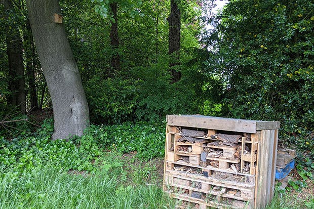 Photo of a bug hotel made from wooden pallets and a bird house in a tree at City South cCampus