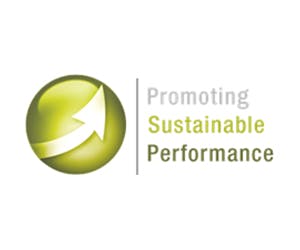 Centre for Enterprise, Innovation and Growth PSP Survey Page Image 300x250 - Promoting Sustainable Performance logo