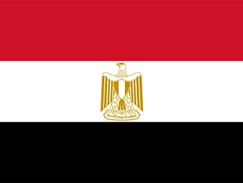 Egypt Flag Lily Hamourtziadou