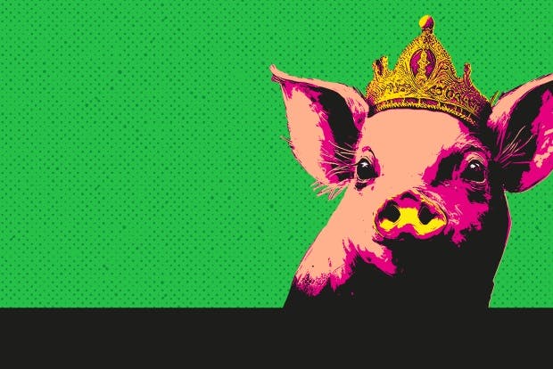 Colourful graffiti cartoon image of a pig with a crown on