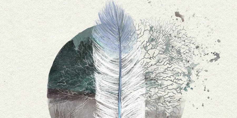 Feather in Wind
