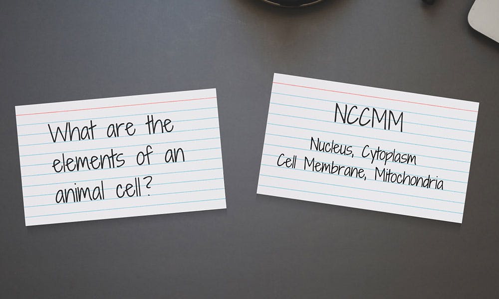 Two flashcards showing the question "What are the elements of an animal cell?" on one side and the answer "NCCMM - Nucleus, Cytoplasm, Cell Membrane, Mitochondria" on the other. 