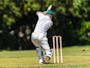 Cricket player striking a wicket 