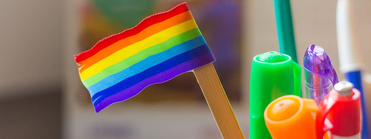 No Outsiders 1200x450 - LGBT flag in a pencil pot
