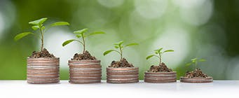 Business PhDs Homepage Image 341x140 - Plants growing on top of piles of coins