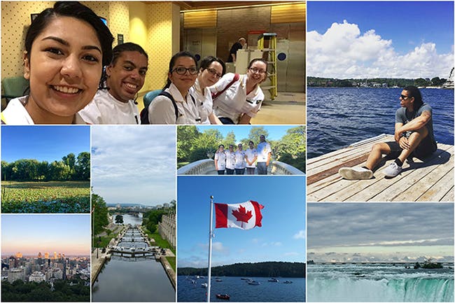radiography canada collage