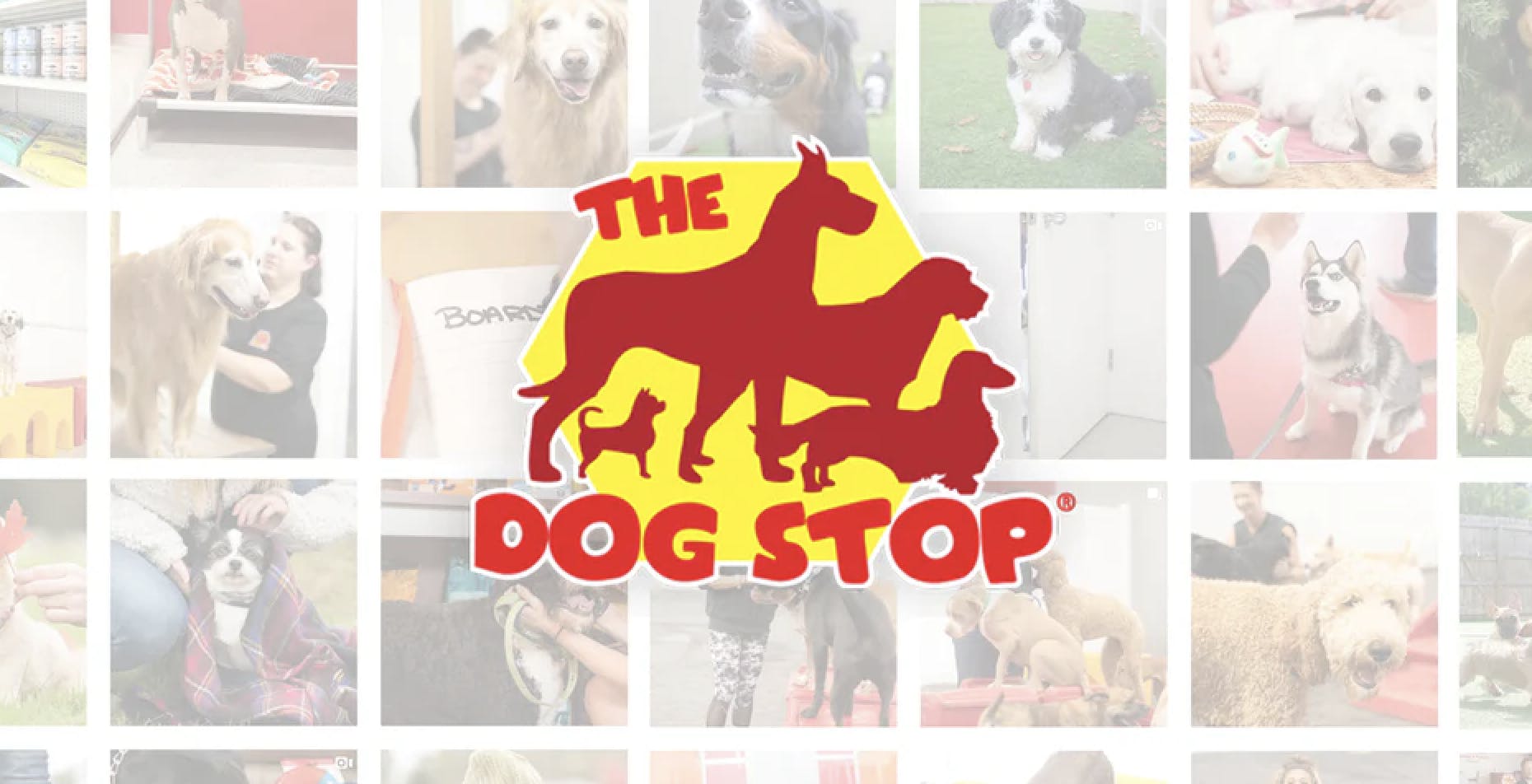 The Dog Stop - Birmingham City Business School