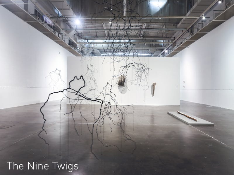 The nine twigs by Shao Yinong
