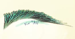 Yue Tan Logo